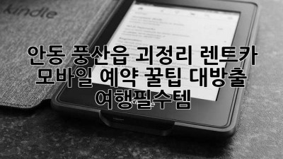 안동 풍산읍 괴정리 렌트카🚗 모바일 예약 꿀팁 대방출! #여행필수템